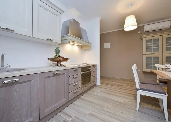 & Tisno 오브로박